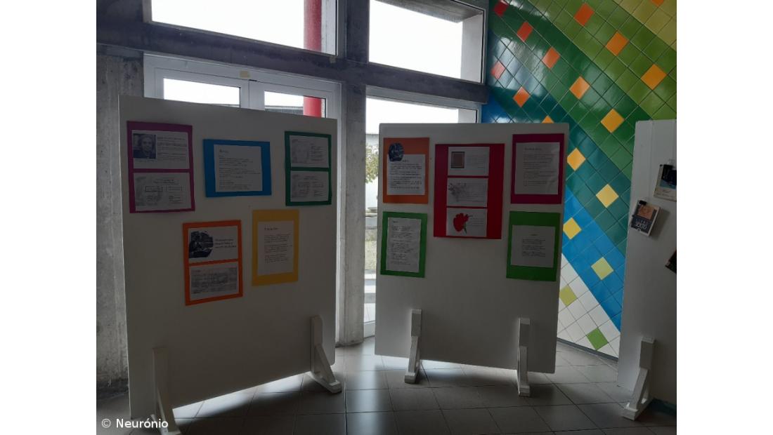 Envolvimento da Comunidade Educativa na semana do aniversário – Imagem 6