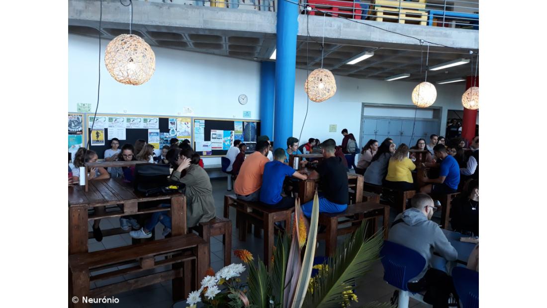 Envolvimento da Comunidade Educativa na semana do aniversário – Imagem 3