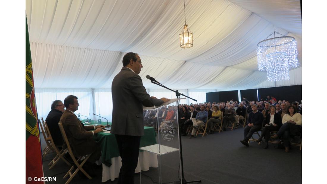 Produtores podem reduzir efetivo bovino sem perder apoios