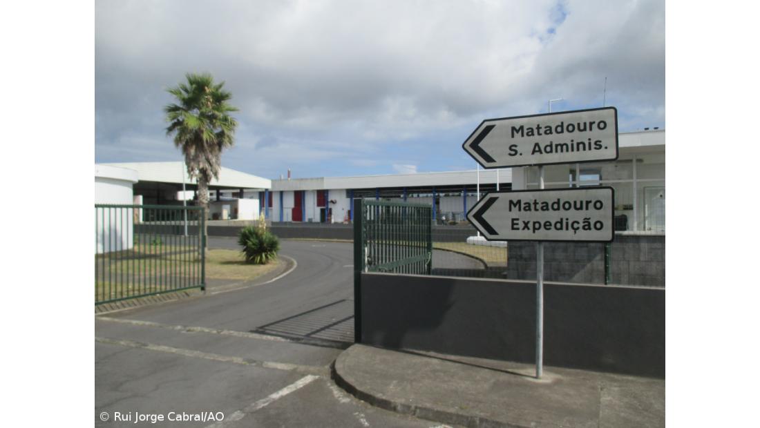 UGT/Açores diz que nova carreira dos trabalhadores dos matadouros viola a lei