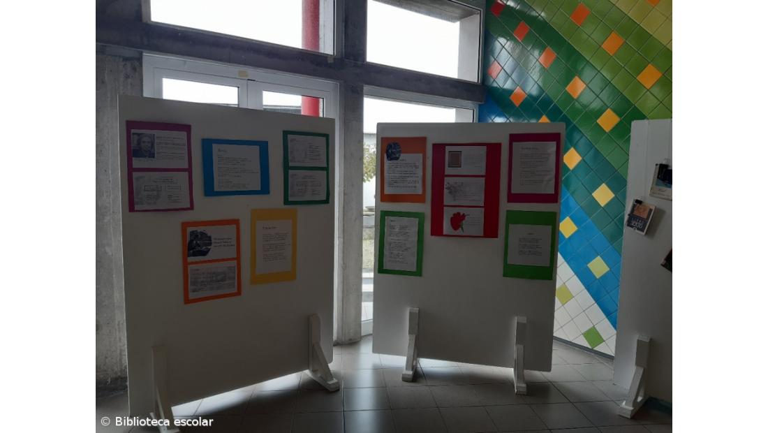 Biblioteca Escolar organizou programa comemorativo dos 100 anos do Nascimento de Sophia de Mello Breyner Andresen – Imagem 3