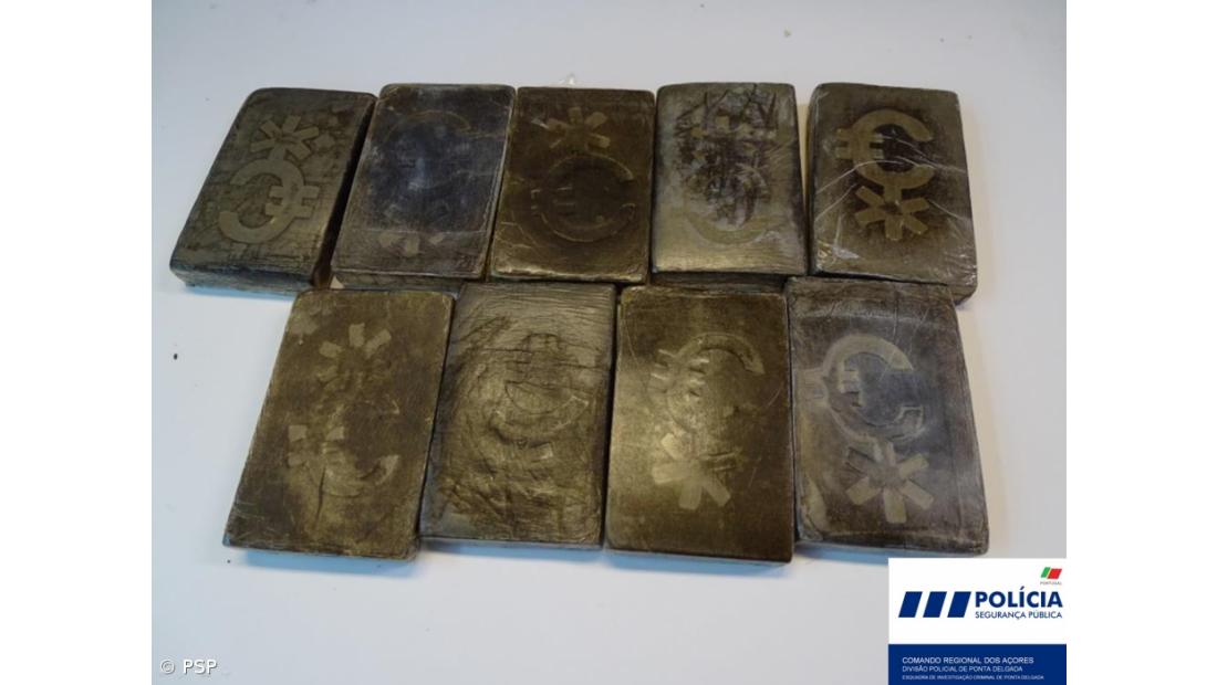 Apreensão de 1765 doses de haxixe e seis plantas de cannabis nas Capelas – Imagem 1