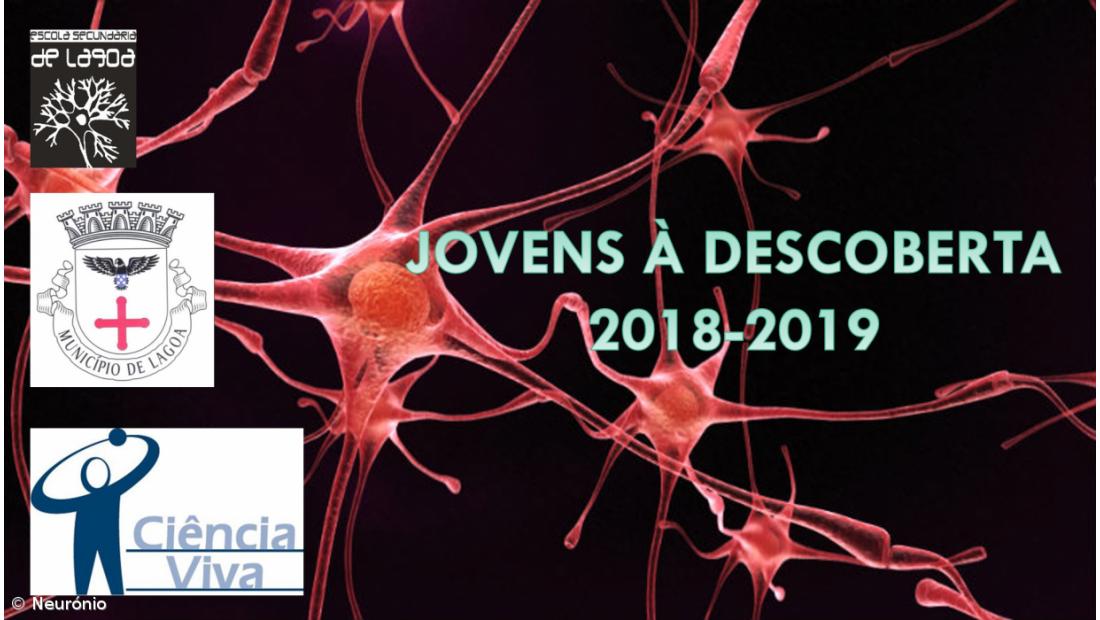 2º lugar no concurso nacional ATG-Ciência Viva – Imagem 5