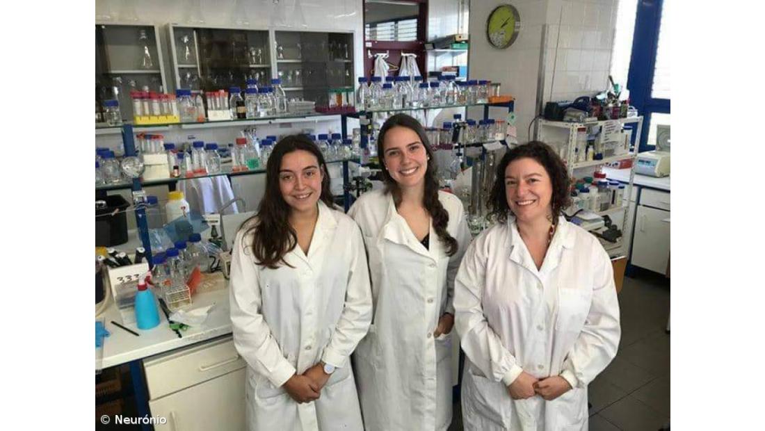 2º lugar no concurso nacional ATG-Ciência Viva – Imagem 7