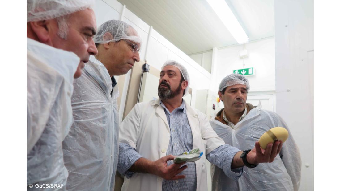 Governo abre aviso no PRORURAL+ para apoio de reforço da capacidade de frio e de cura de queijos