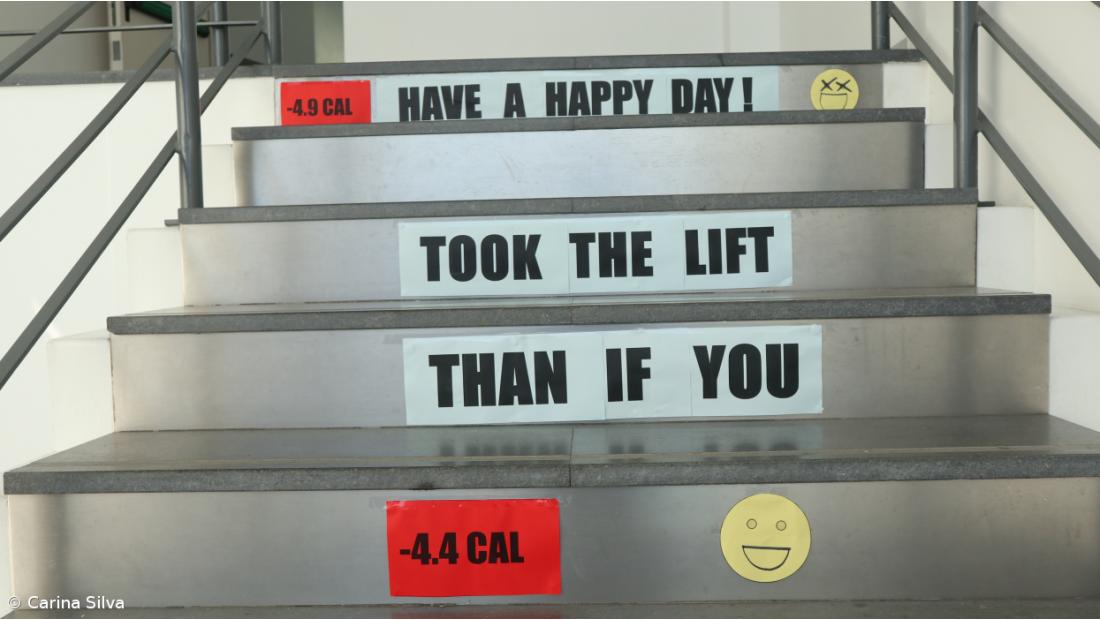 Dia da Autonomia e Flexibilidade Curricular - Ensino Básico - 24 janeiro 2020 – Imagem 8