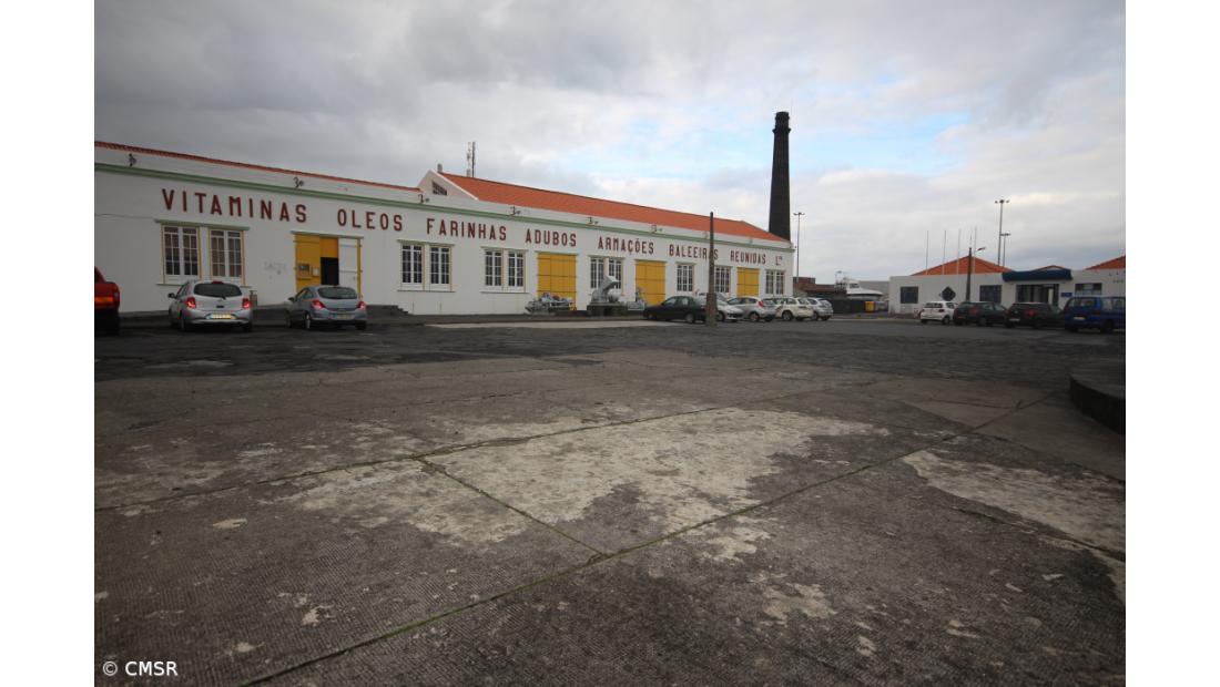 Autarquia de São Roque garante apoio comunitário para requalificação da Praceta dos Baleeiros  – Imagem 1