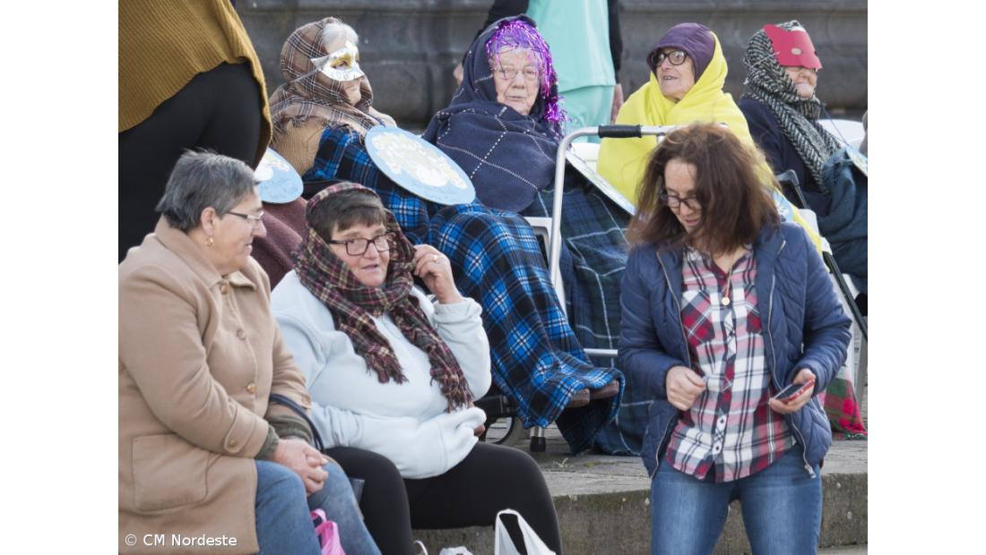 Desafios ecológicos foram tema de cortejo de Carnaval – Imagem 6