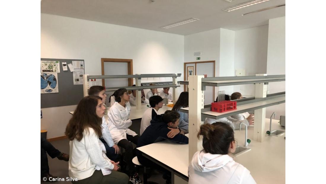 Workshop Rockets@Schools – Imagem 1