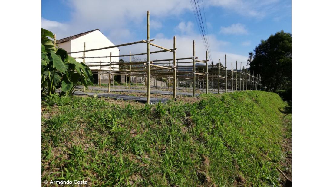 Centro Pedagógico da EBS da Povoação – Imagem 12