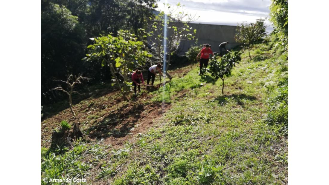 Centro Pedagógico da EBS da Povoação – Imagem 10