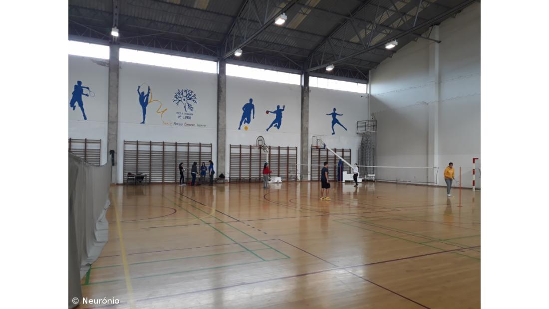 Ensino Especializado em Desporto: aposta ganha! – Imagem 1