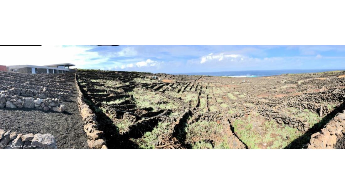 EFTH na rota dos vinhos do Pico e da Madeira
