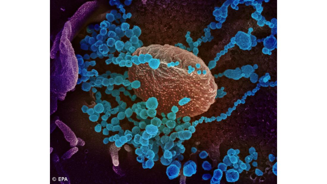 Covid-19: Quase metade dos médicos que tiveram contacto com casos nunca foram testados