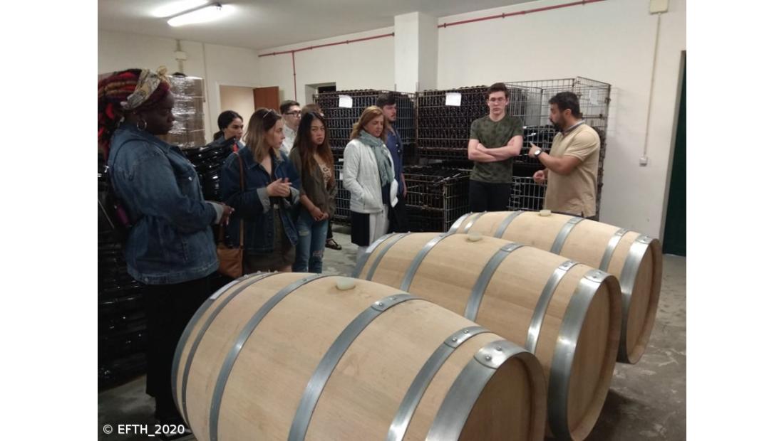 EFTH na rota dos vinhos do Pico e da Madeira – Imagem 4