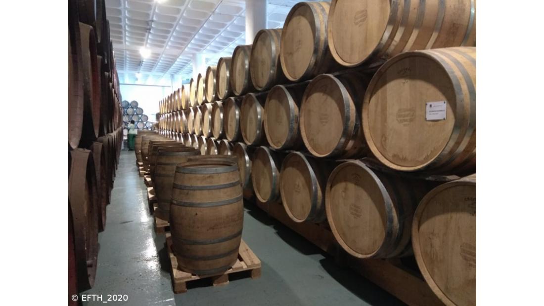 EFTH na rota dos vinhos do Pico e da Madeira – Imagem 8