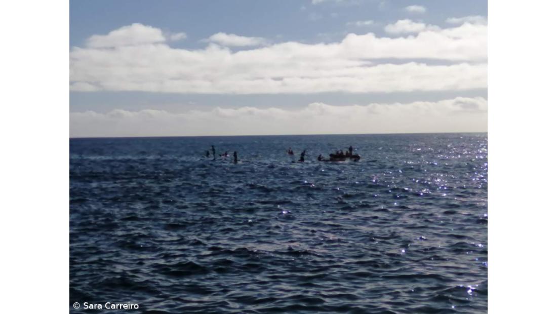 Nautica0: como promover as atividades náuticas em Parceria – Imagem 5