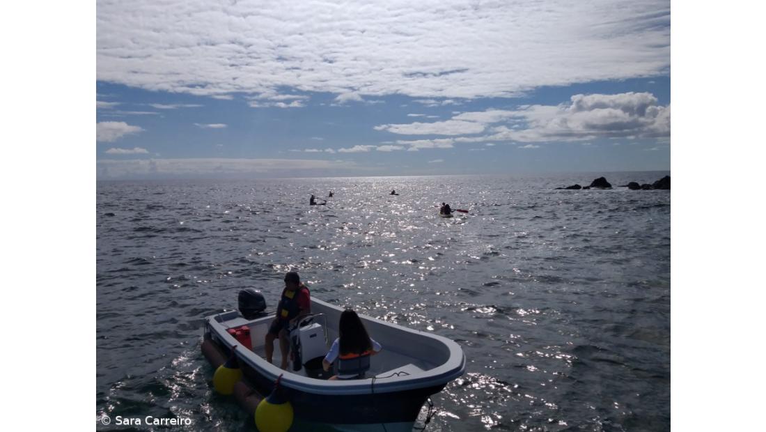 Nautica0: como promover as atividades náuticas em Parceria – Imagem 4