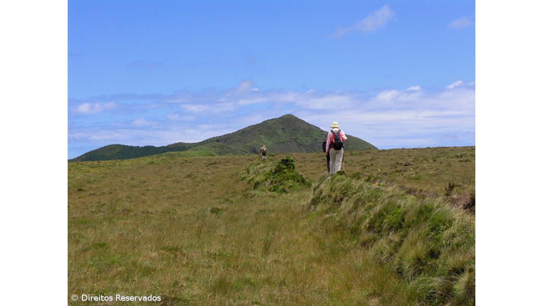 Câmara do Pico paga verbas indevidas a chefe de gabinete