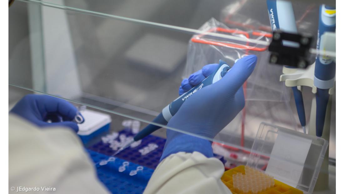 Açores com 13 novos casos nas últimas 24 horas e 11 recuperações