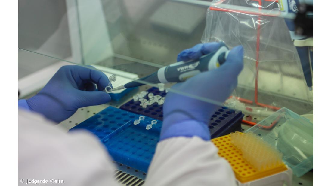 Açores com 40 novos casos e 67 cadeias de transmissão ativas