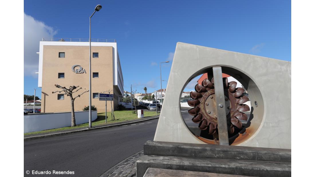 EDA tem projeto de recuperação de Enguia Europeia