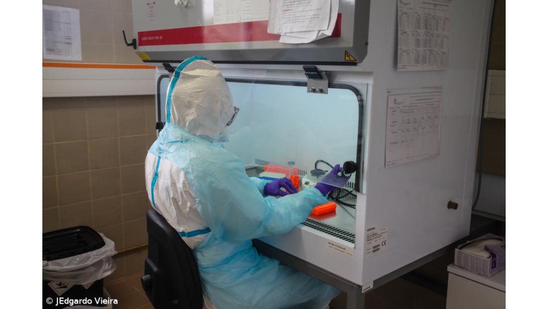 Açores registam 37 novos casos e 42 recuperações nas últimas 24 horas