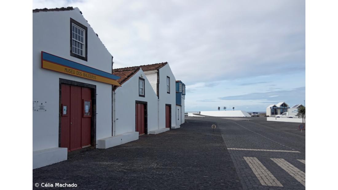 A pandemia no Pico – Imagem 9