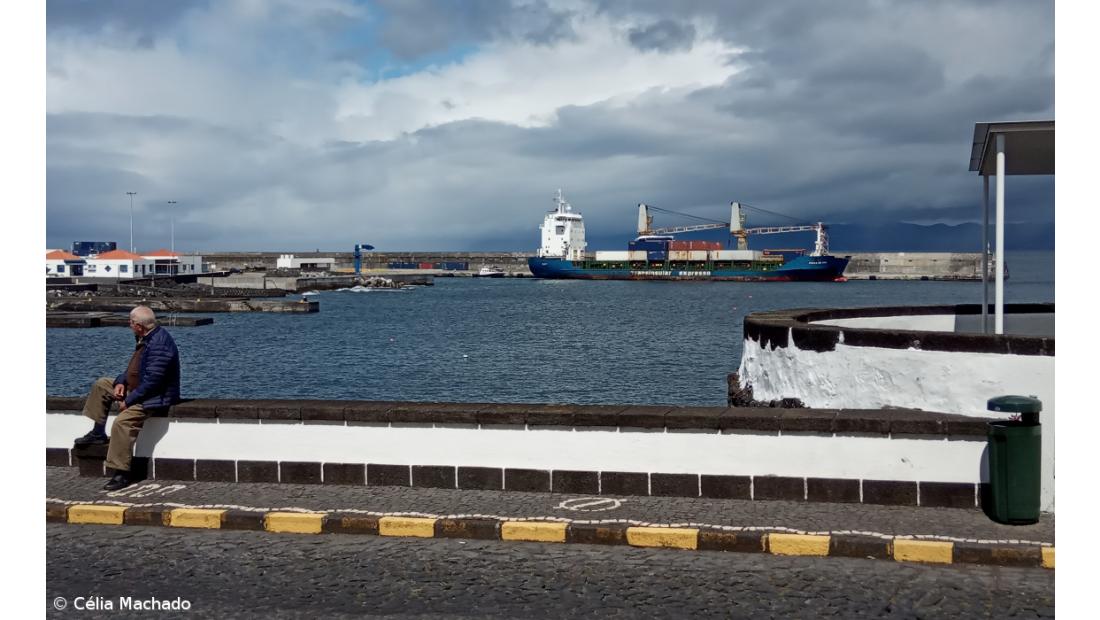 A pandemia no Pico – Imagem 3