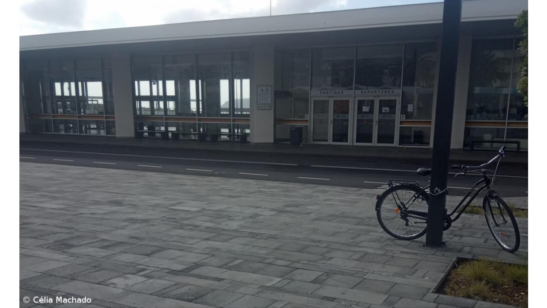 A pandemia no Pico – Imagem 5