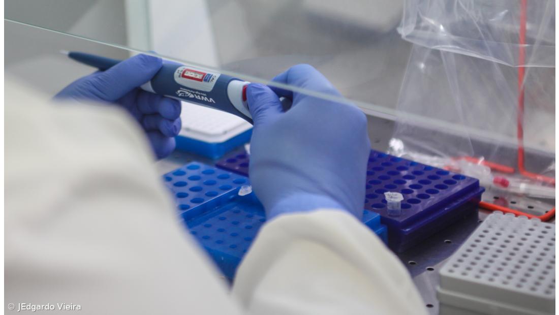 Covid-19: Plano de testagem na região de Lisboa é de 7.000 testes diários