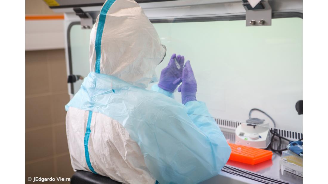 Açores detetam três casos "falsos positivos"