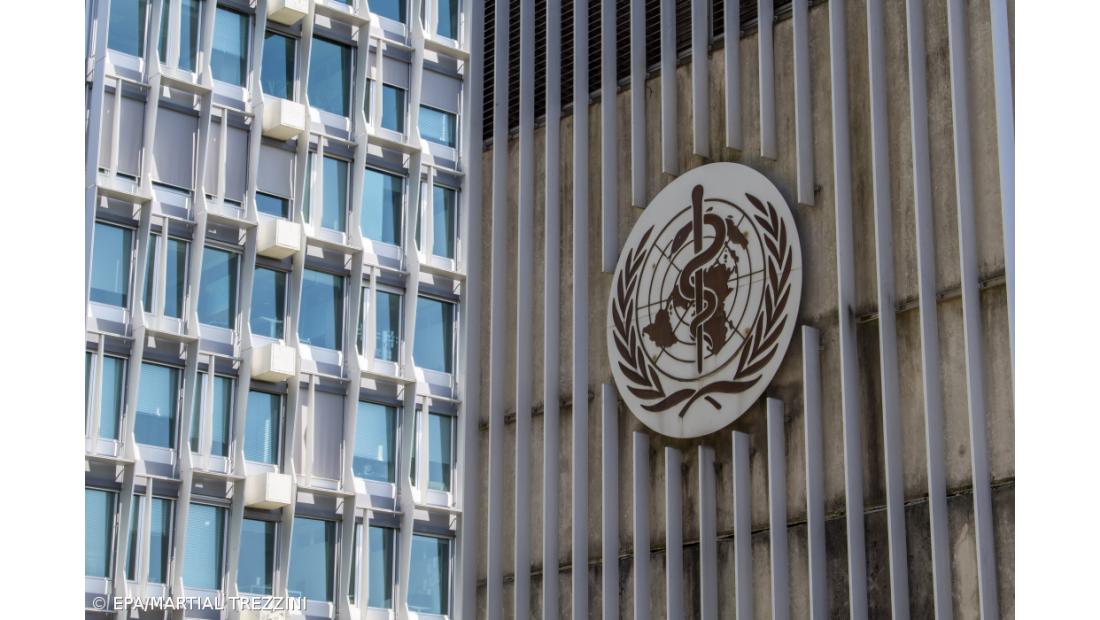 OMS admite que número de mortos pode duplicar no próximo ano