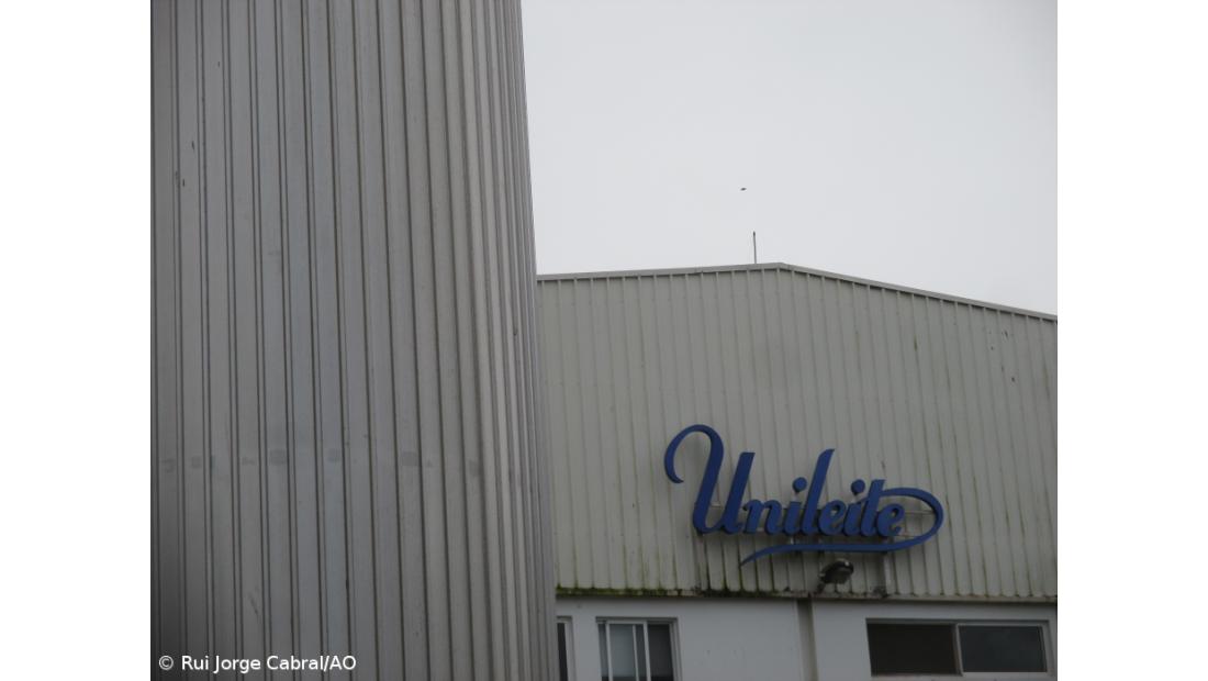 Unileite anuncia aumento de 1 cêntimo por litro de leite pago aos seus produtores