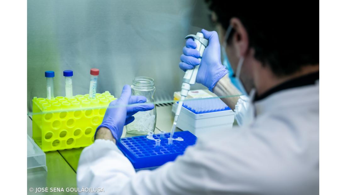 'Task force' tem 30 dias para definir todo o plano de vacinação