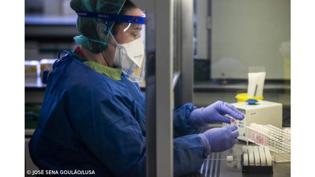 Detetada nova variante do coronavírus na África do Sul