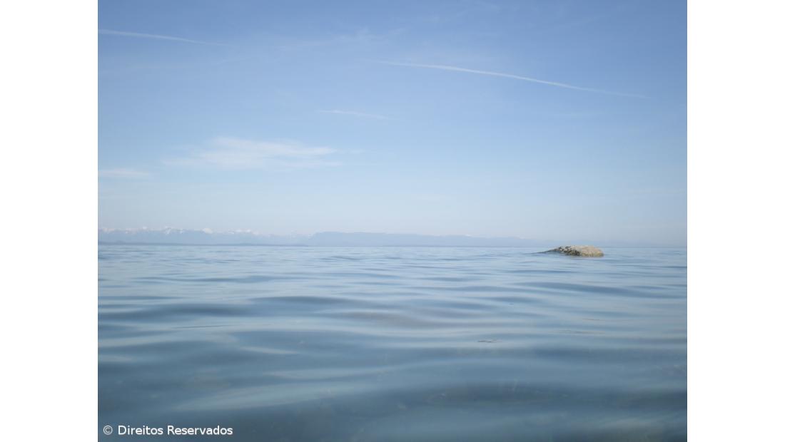 Veleiro não tripulado lançado nos Açores ruma à Terra Nova