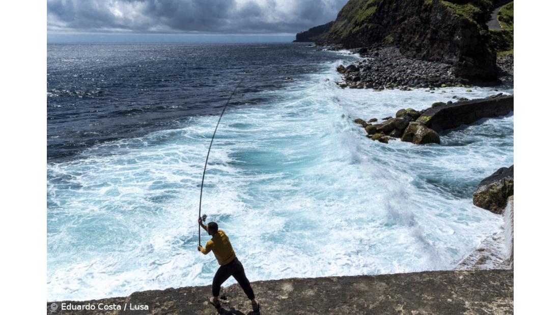 Cai última cerca sanitária do país, no Nordeste, num misto de dor e alegria  – Imagem 7