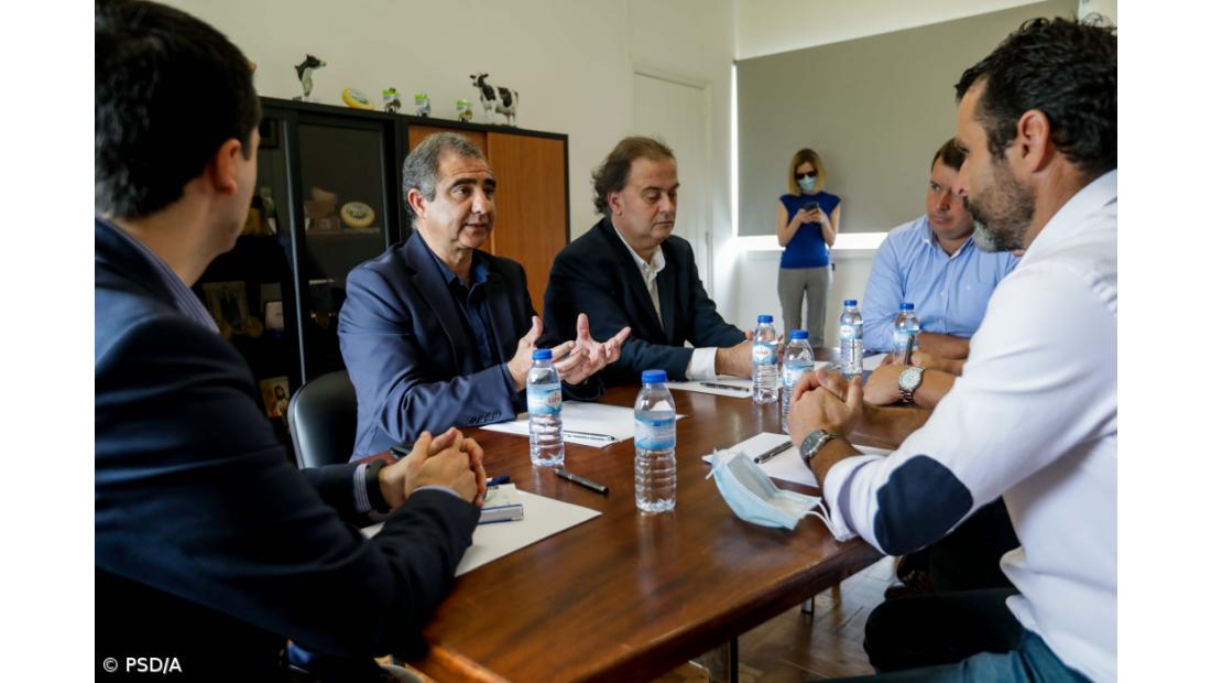 Líder do PSD/Açores defende programa rural para os jovens agricultores 