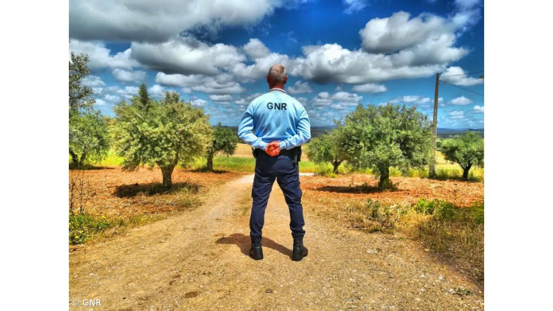 Adesão à greve dos guardas florestais da GNR chegou aos 95%