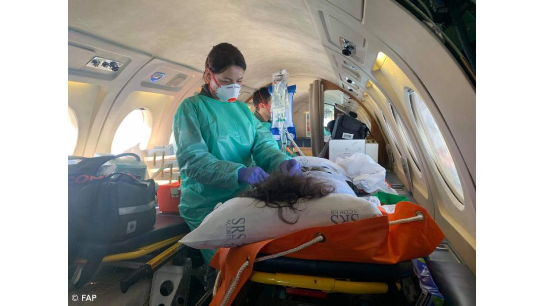 Militares realizaram 683 evacuações médicas e 458 ações de busca e salvamento em 2022