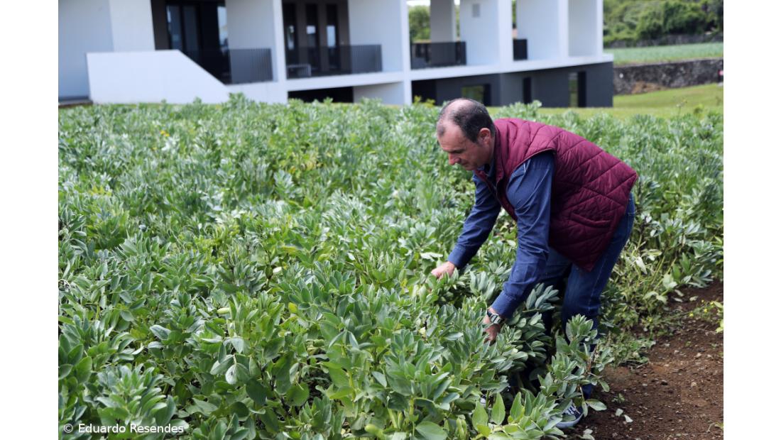 Projeto reergue vidas a partir do trabalho na terra – Imagem 2