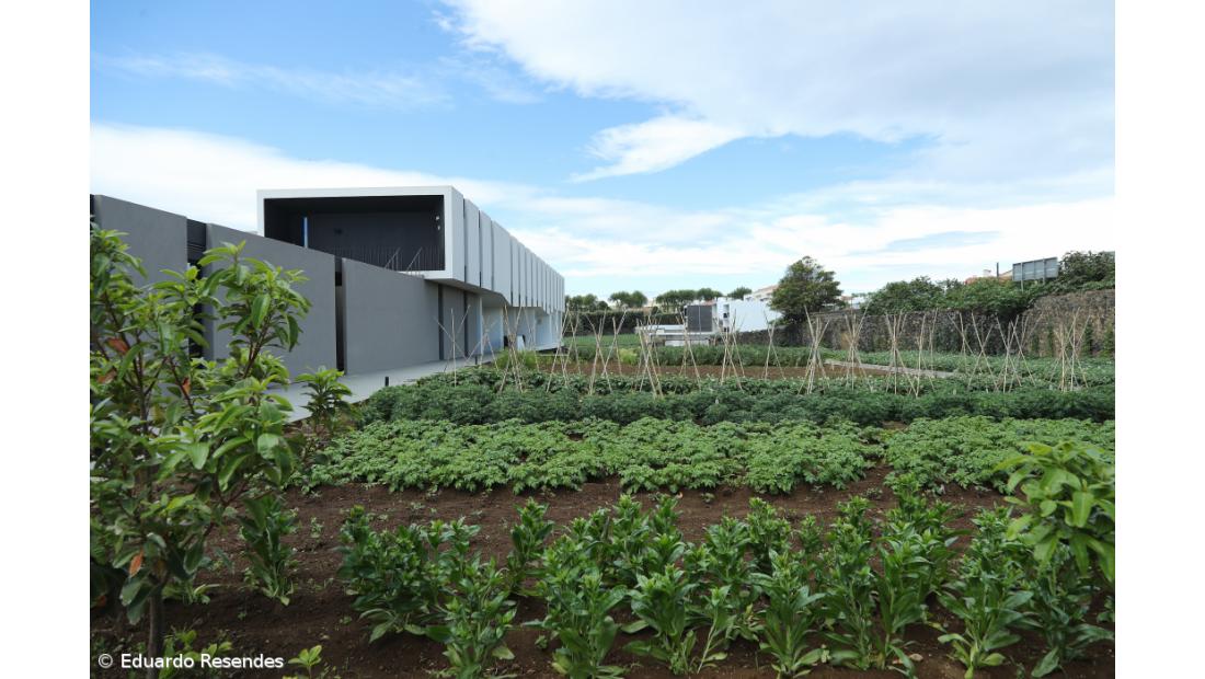 Projeto reergue vidas a partir do trabalho na terra – Imagem 3