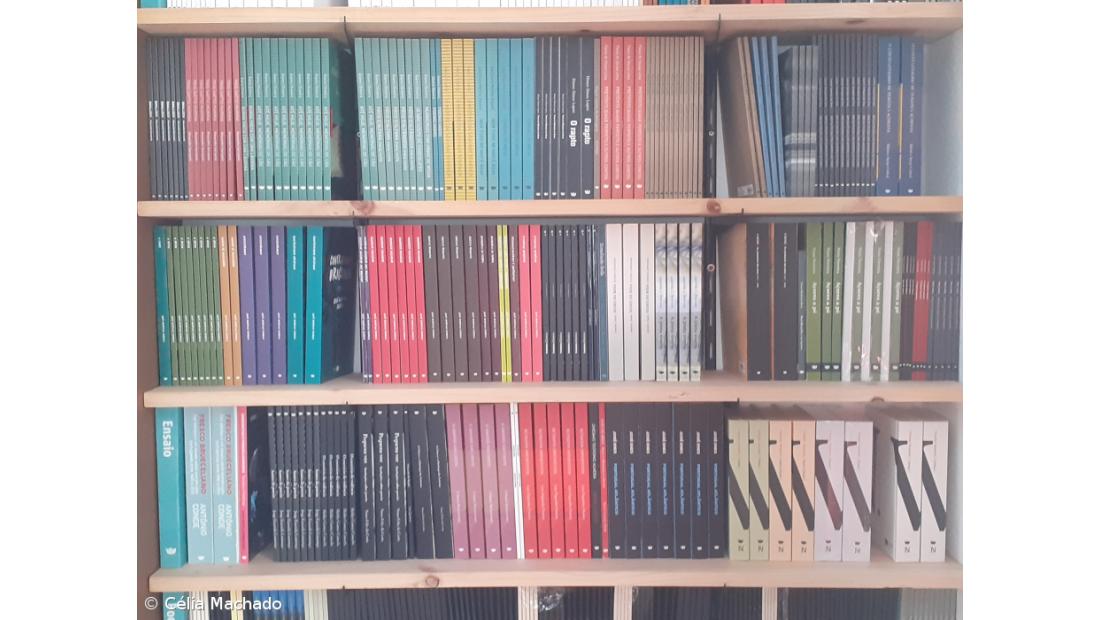 Única livraria da ilha do Pico nos Açores pretende reabrir em abril