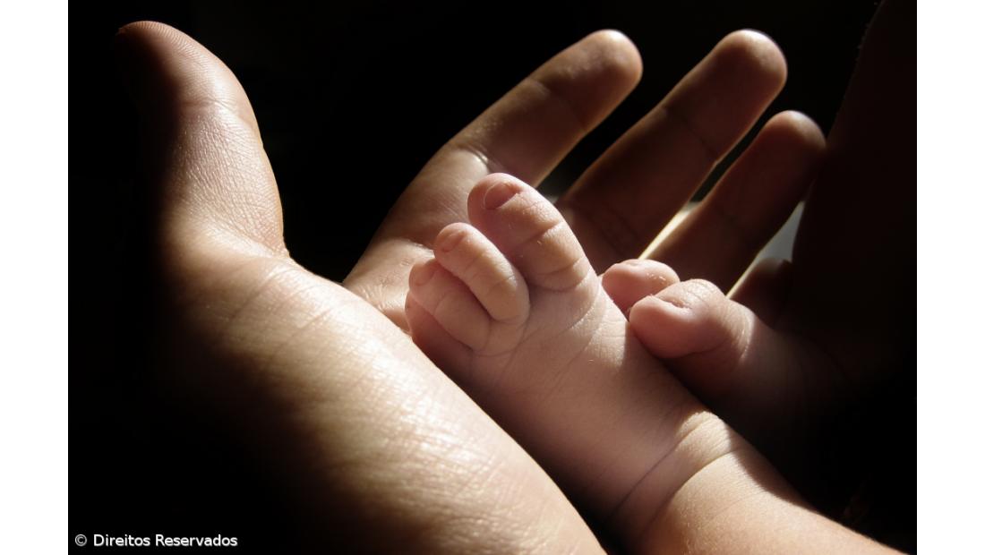 PSD, CDS e PAN preocupados com quebra da natalidade propõem medidas distintas