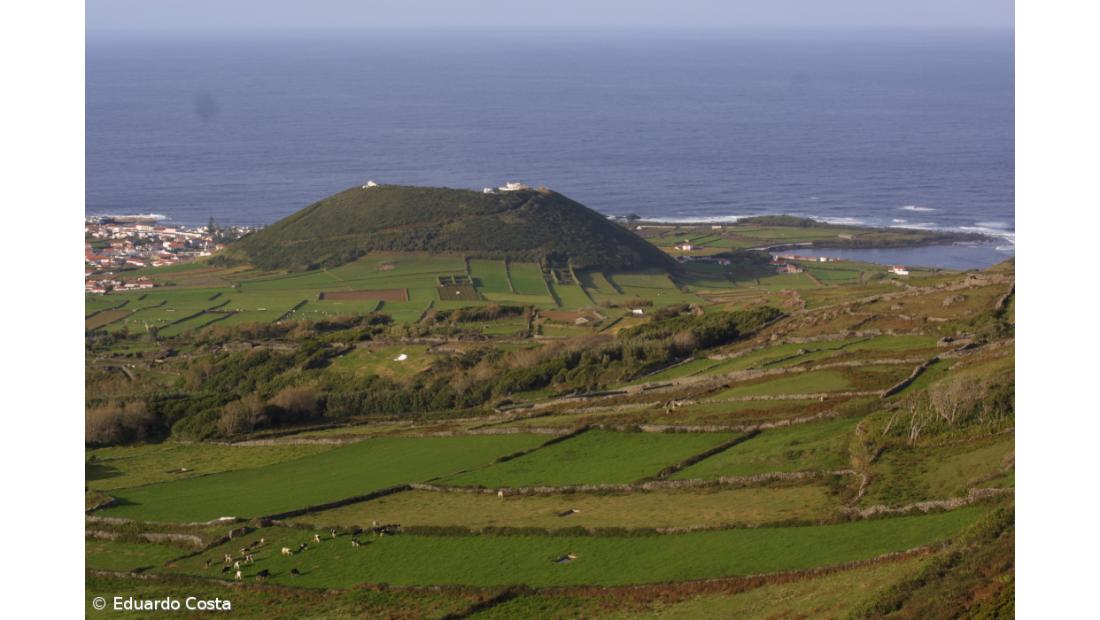Suspeita de doença nos coelhos leva à proibição da caça na Graciosa