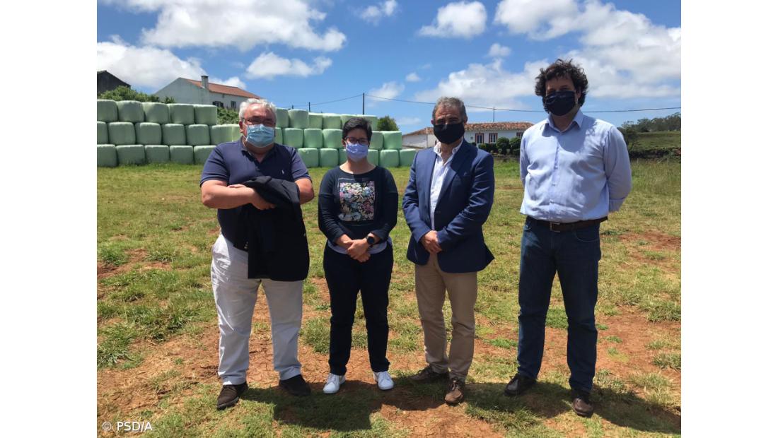 Líder do PSD/Açores quer eliminar “constrangimentos” da economia de Santa Maria