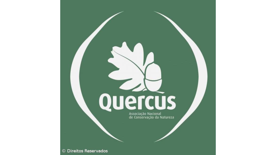 Quercus alerta para o elevado desperdício energético do ar condicionado portátil