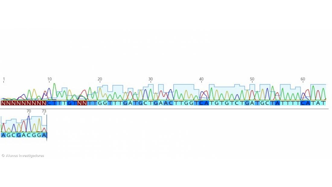 A Fascíola Hepática nos Açores. Como Fizemos... Conclusões do estudo – Imagem 17