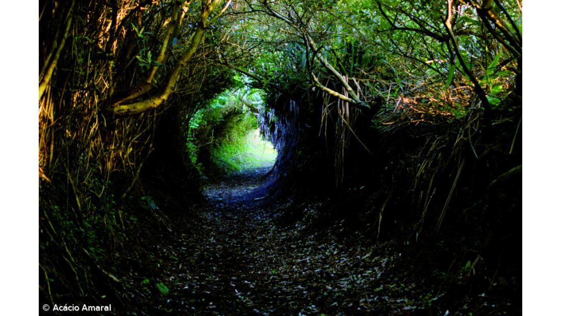 Um convite a férias seguras com a natureza e cultura no roteiro – Imagem 2